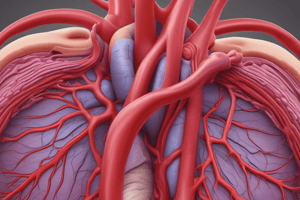 Coronary Arteries Anatomy Quiz