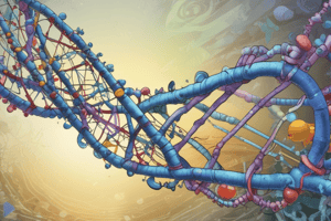 PCR Technique: 16S rDNA Gene Detection