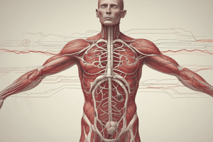 Circulatory System Basics