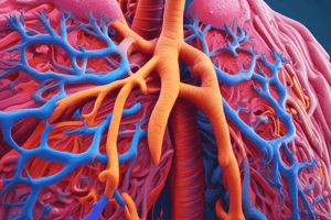 Understanding Chronic Obstructive Pulmonary Disease (COPD)