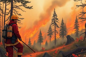 Wildfire Initial Attack Strategies