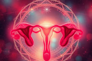 Menstrual Cycle Overview