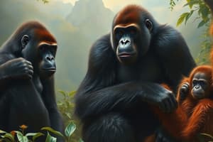 Mountain Gorillas vs Bornean Orangutans Analysis