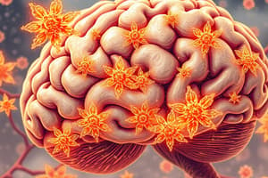 Ionotropic Glutamate Receptors Overview