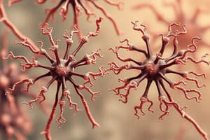 Microbiology: N. meningitis vs N. gonorrhoeae