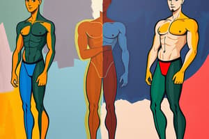 Body Types Quiz: Ectomorph, Mesomorph, Endomorph