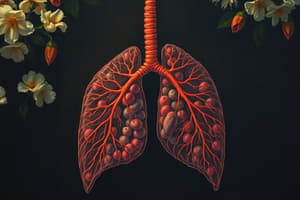 D2.1 - Structures of the Respiratory System