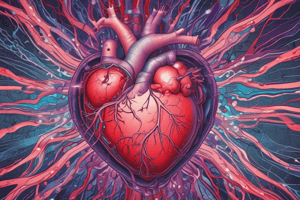 Heart Contraction Overview