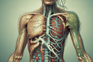 Lymphatic System Function