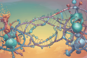 RNA Processing and Capping