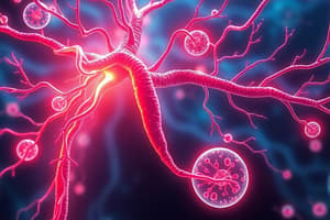 Sympathetic vs Parasympathetic Nervous System