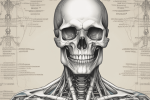 Skeletal System: Joint Classification, Bone Structure, and Cartilage Function