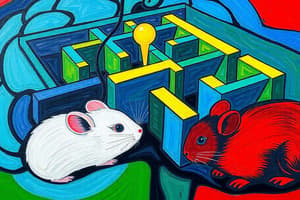 Transcranial Magnetic Stimulation & Rat Experiments