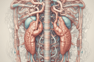 Medical Terminology: Gastrointestinal System