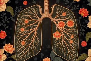 Respiratory System Overview