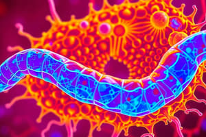 Lodish Ch 13: Moving Proteins into Membranes and Organelles