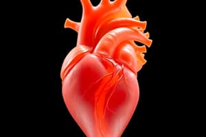 Heart Development and Formation Quiz