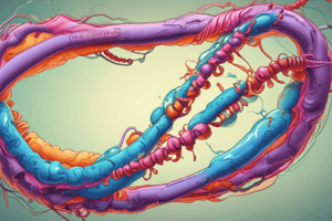 Biology of Immortality: Telomeres and Telomerase