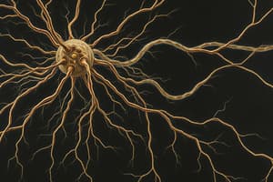 Neurociencia: Estructura de Neuronas