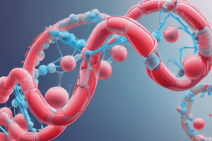 Lipoprotein Lipaz ve Apolipoprotein Funktionları