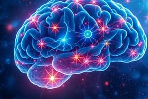 Neuroscience Quiz: Brain Functions and Mechanisms