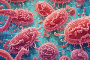 Haemophilus Bacteria: Classification and Habitat