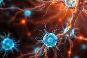 Neuroglial Cells Classification