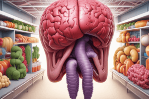 Digestive System Functions Quiz