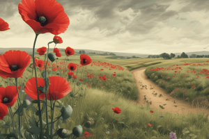 Sylvia Plath's Poppies in July Poem Analysis