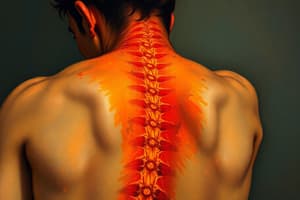 Understanding Nociceptive and Neuropathic Pain