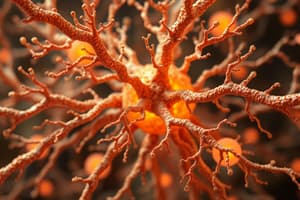 Nervous System I: Nervous Tissue Quiz