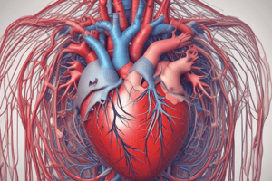 Función Cardiaca y Estructura del Corazón