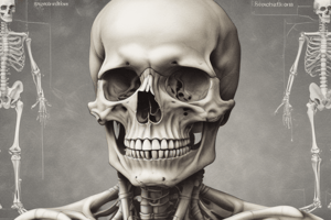 Congenital Bone Diseases