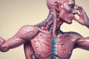 Connective Tissue Structure and Function