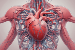 SAQ - Heart's Conduction System and Blood Flow