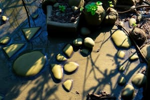 Ecosystems and Biotic Factors