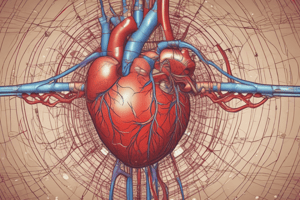 The Heart's Structure and Function