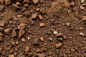 Soil Composition Basics