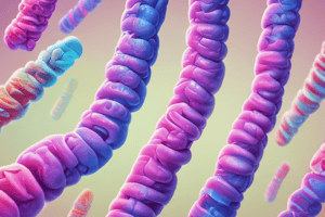 Chromosome Homology