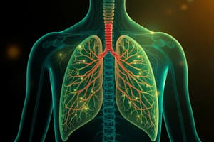 Respiratory System Homeostasis