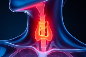 Thyroid Gland and Hormones