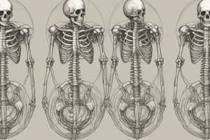 Development of Appendicular Skeleton