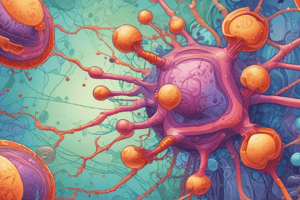 Cell Injury Stages