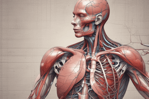 Physiology of the Cardiovascular System