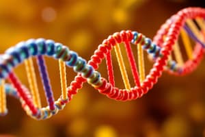 DNA Replication: Eukaryotic vs. Prokaryotic