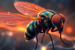 Looming Response in Animals and Drosophila