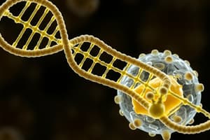 Overview of DNA Replication