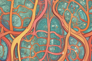 Digestion and Cellular Respiration Overview