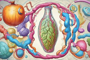 Lipid Metabolism and Fatty Acid Synthesis