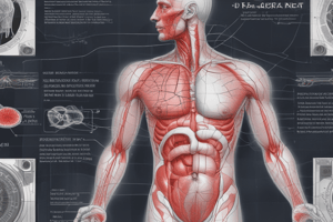 Sistemas de Diagnostico y Terapia